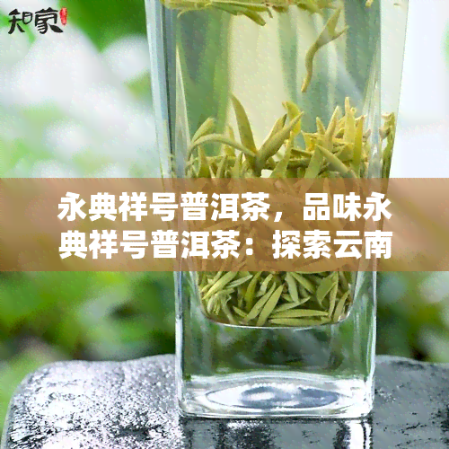 永典祥号普洱茶，品味永典祥号普洱茶：探索云南独特的茶文化