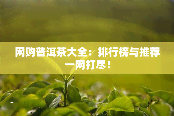 网购普洱茶大全：排行榜与推荐一网打尽！