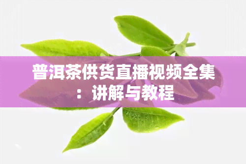 普洱茶供货直播视频全集：讲解与教程