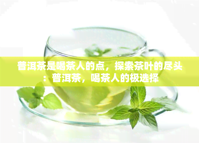 普洱茶是喝茶人的点，探索茶叶的尽头：普洱茶，喝茶人的极选择