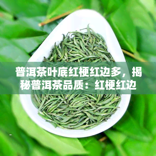 普洱茶叶底红梗红边多，揭秘普洱茶品质：红梗红边多的茶叶底背后的故事