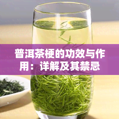 普洱茶梗的功效与作用：详解及其禁忌