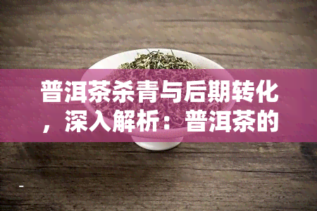 普洱茶杀青与后期转化，深入解析：普洱茶的杀青工艺与其后期转化的关系