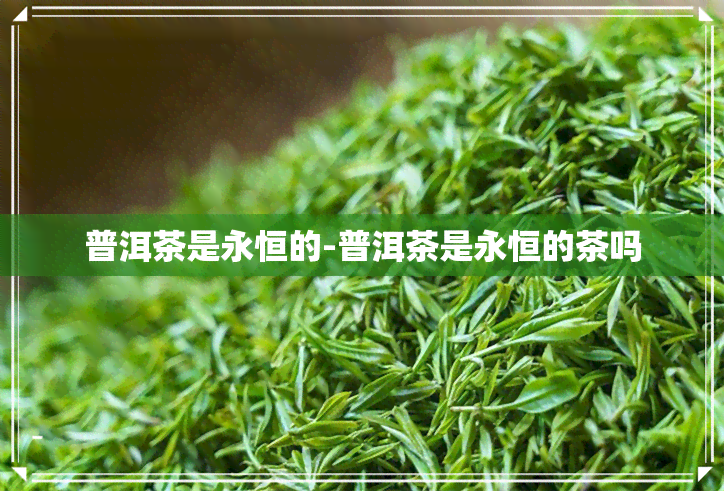 普洱茶是永恒的-普洱茶是永恒的茶吗