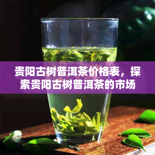 贵阳古树普洱茶价格表，探索贵阳古树普洱茶的市场价格表