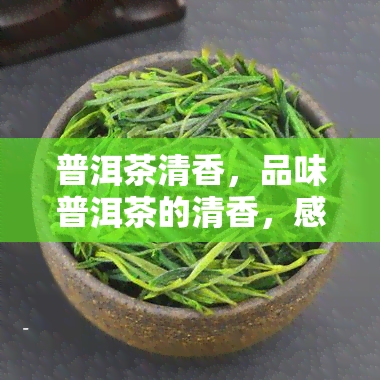 普洱茶清香，品味普洱茶的清香，感受云南独特的韵味