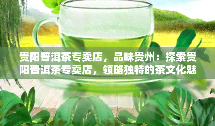 贵阳普洱茶专卖店，品味贵州：探索贵阳普洱茶专卖店，领略独特的茶文化魅力