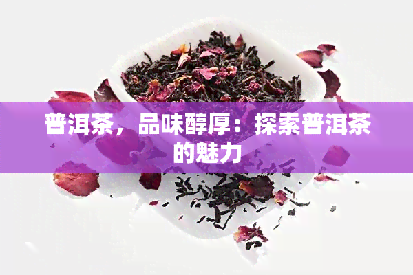 普洱茶，品味醇厚：探索普洱茶的魅力