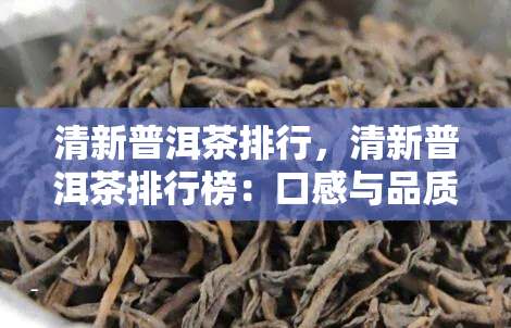 清新普洱茶排行，清新普洱茶排行榜：口感与品质的双重保障