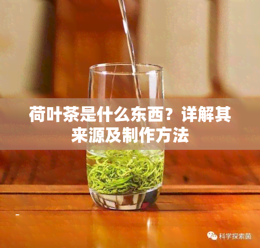 荷叶茶是什么东西？详解其来源及制作方法