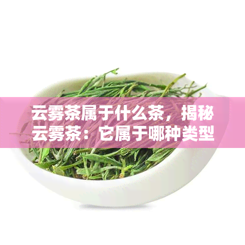 云雾茶属于什么茶，揭秘云雾茶：它属于哪种类型的茶？