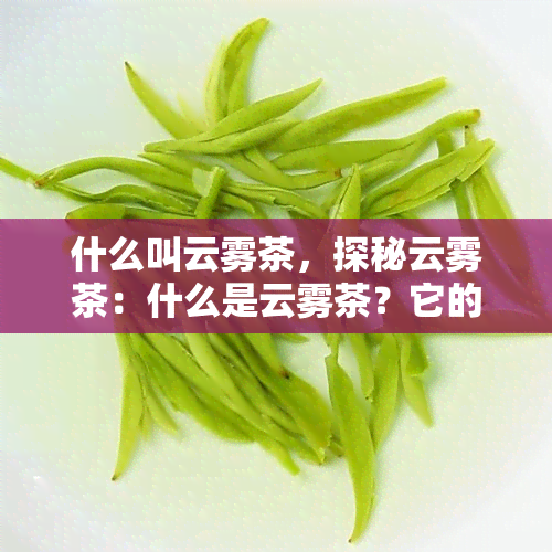 什么叫云雾茶，探秘云雾茶：什么是云雾茶？它的特点和产地是怎样的？