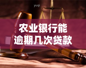 农业银行能逾期几次贷款？请了解相关规定