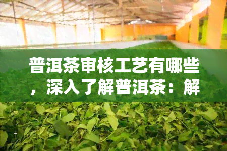 普洱茶审核工艺有哪些，深入了解普洱茶：解析其审核工艺流程