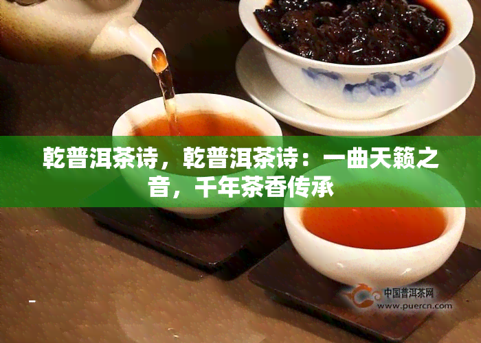 乾普洱茶诗，乾普洱茶诗：一曲天籁之音，千年茶香传承