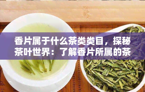 香片属于什么茶类类目，探秘茶叶世界：了解香片所属的茶类类目