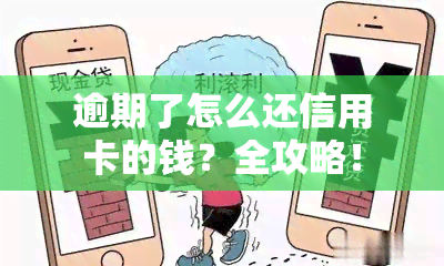 逾期了怎么还信用卡的钱？全攻略！