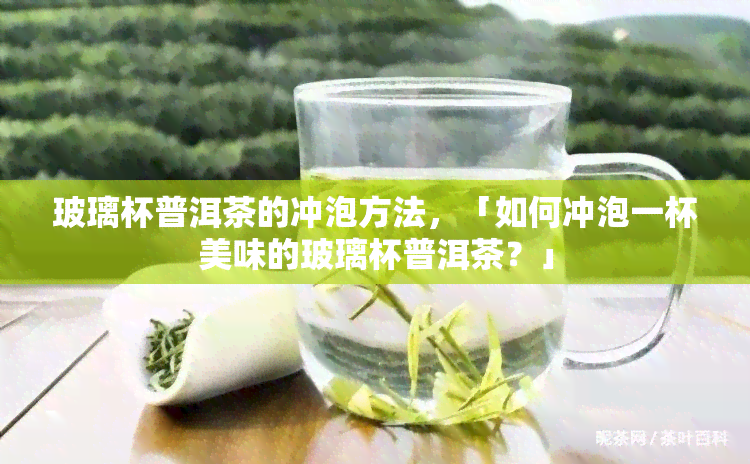 玻璃杯普洱茶的冲泡方法，「如何冲泡一杯美味的玻璃杯普洱茶？」