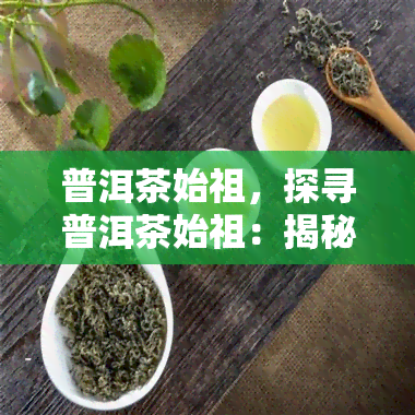 普洱茶始祖，探寻普洱茶始祖：揭秘中国茶文化的源头