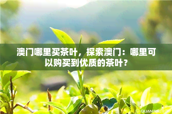 哪里买茶叶，探索：哪里可以购买到优质的茶叶？