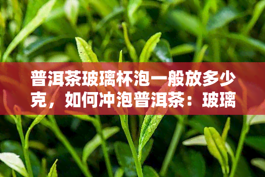 普洱茶玻璃杯泡一般放多少克，如何冲泡普洱茶：玻璃杯泡法的茶叶用量建议