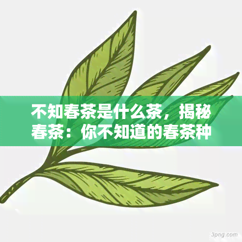 不知春茶是什么茶，揭秘春茶：你不知道的春茶种类和特点