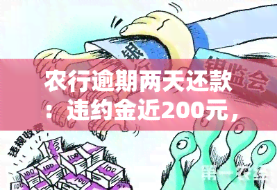 农行逾期两天还款：违约金近200元，如何处理？