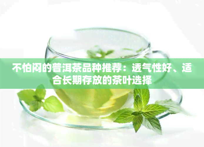 不怕闷的普洱茶品种推荐：透气性好、适合长期存放的茶叶选择