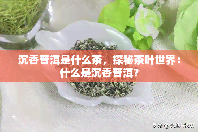 沉香普洱是什么茶，探秘茶叶世界：什么是沉香普洱？