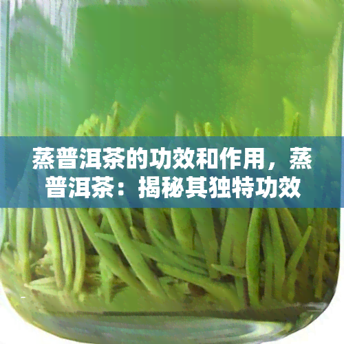 蒸普洱茶的功效和作用，蒸普洱茶：揭秘其独特功效与作用