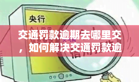 交通罚款逾期去哪里交，如何解决交通罚款逾期问题：交罚款的正确方式