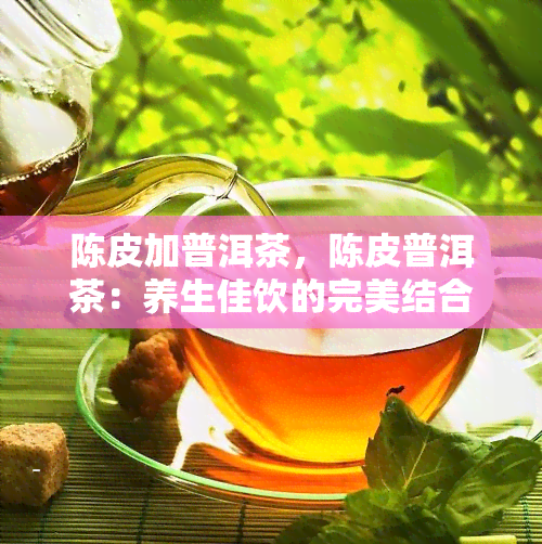 陈皮加普洱茶，陈皮普洱茶：养生佳饮的完美结合