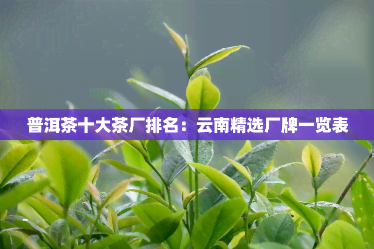 普洱茶十大茶厂排名：云南精选厂牌一览表