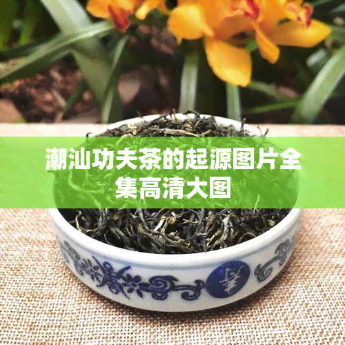 潮汕功夫茶的起源图片全集高清大图