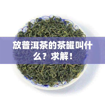 放普洱茶的茶罐叫什么？求解！