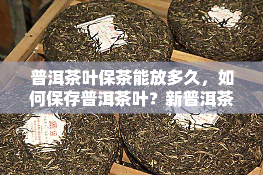 普洱茶叶保茶能放多久，如何保存普洱茶叶？新普洱茶叶能存放多久？