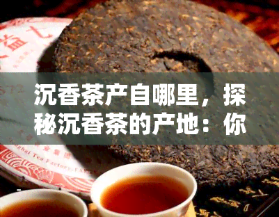 沉香茶产自哪里，探秘沉香茶的产地：你知道它来自哪里吗？