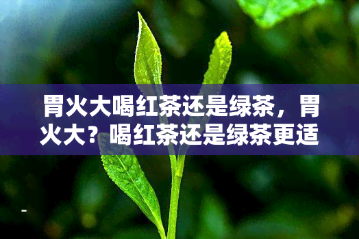 胃火大喝红茶还是绿茶，胃火大？喝红茶还是绿茶更适合你？