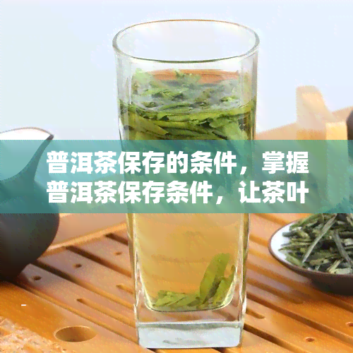 普洱茶保存的条件，掌握普洱茶保存条件，让茶叶口感更佳！