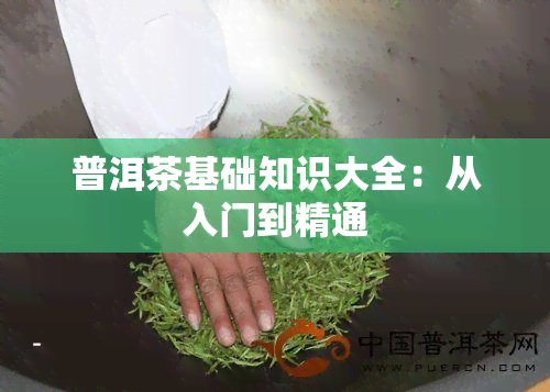 普洱茶基础知识大全：从入门到精通