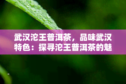 武汉沱王普洱茶，品味武汉特色：探寻沱王普洱茶的魅力