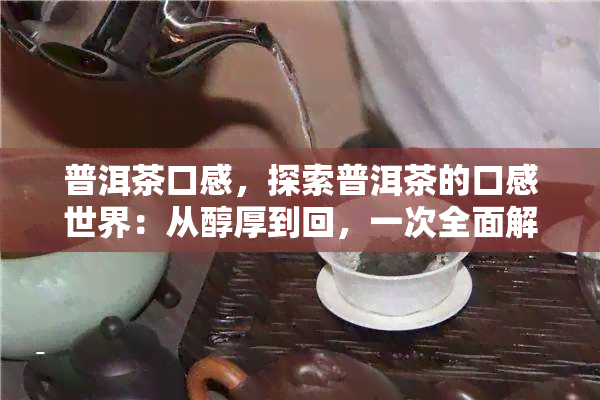 普洱茶口感，探索普洱茶的口感世界：从醇厚到回，一次全面解析