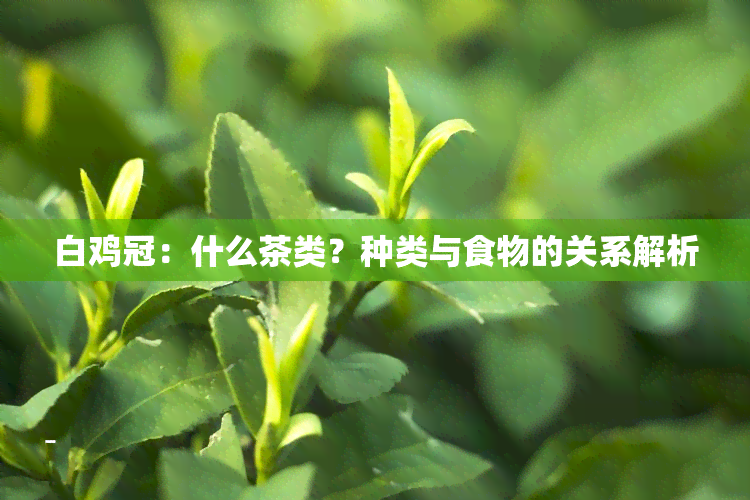 白鸡冠：什么茶类？种类与食物的关系解析