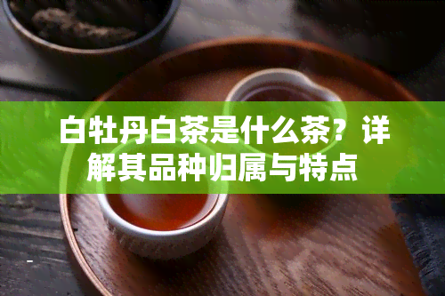 白牡丹白茶是什么茶？详解其品种归属与特点