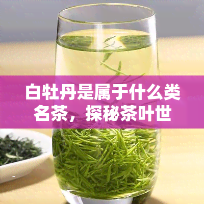 白牡丹是属于什么类名茶，探秘茶叶世界：白牡丹的类别归属