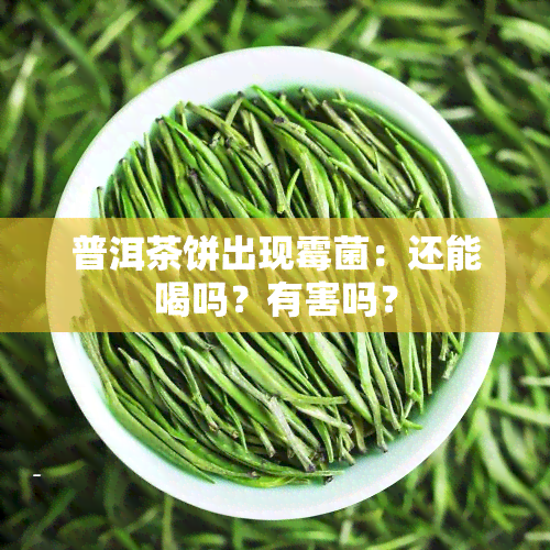 普洱茶饼出现霉菌：还能喝吗？有害吗？