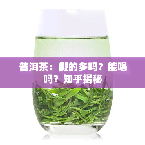 普洱茶：假的多吗？能喝吗？知乎揭秘