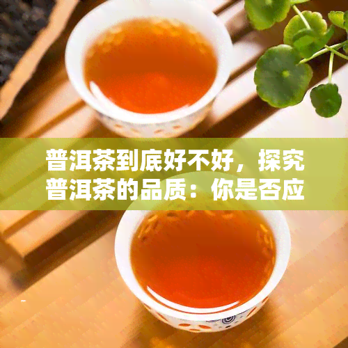 普洱茶到底好不好，探究普洱茶的品质：你是否应该尝试？