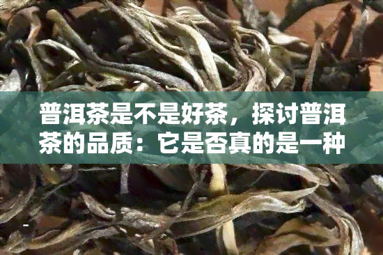 普洱茶是不是好茶，探讨普洱茶的品质：它是否真的是一种好茶？