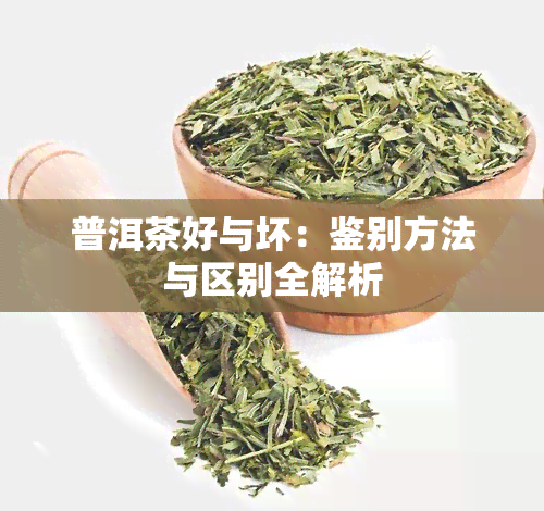 普洱茶好与坏：鉴别方法与区别全解析